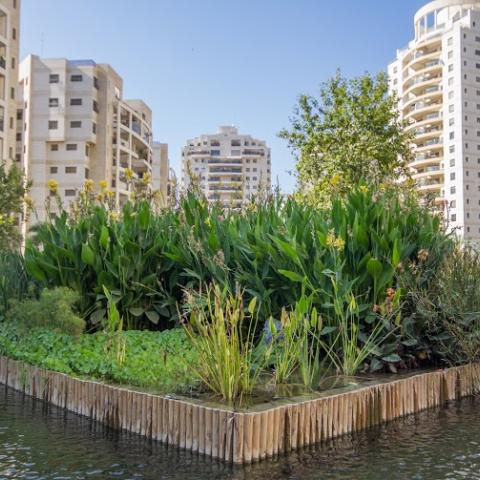 השמאי הממשלתי: מחירי הדיור בפ"ת ברבעון אחרון של 2015 ללא שינוי. - בנייה ונדל"ן בפתח תקווה
