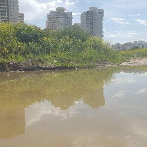 שפכי השוק העירוני ופסולת המפעלים יוצרים ביצות ומכת יתושים ב"אם המושבות" - חדשות בפתח תקווה