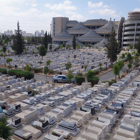 צעיר  דקר אחר במהלך אזכרה בבית עלמין - חדשות בפתח תקווה