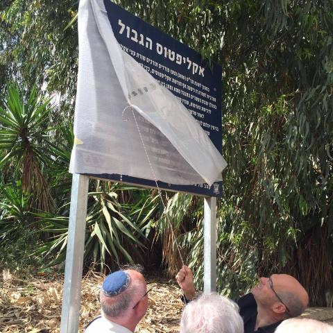 "ישראבלוף" בחסות ברוורמן - חדשות בפתח תקווה