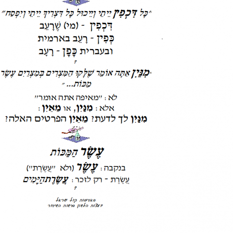 פסח כשר ותקין תחבירית - הצ'ופציק של הקומקום בפתח תקווה