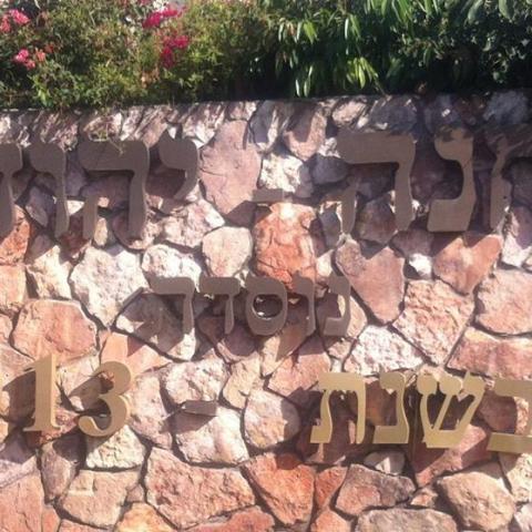 טיול השבוע: ממושב לשכונה - מופעים מומלצים בפתח תקווה
