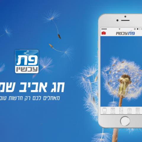 פתח תקווה חוגגת פסח - חדשות בפתח תקווה