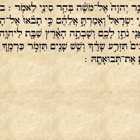פרשת בהר: דאגה לכבודו וטובתו של כל יהודי - פרשת השבוע בפתח תקווה