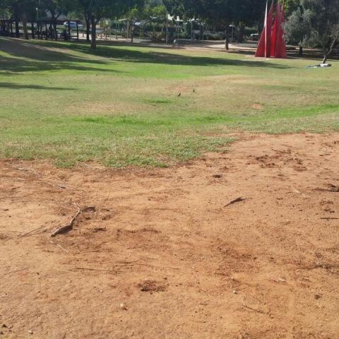נעצר חשוד במעשה מגונה בגן יונתן בפ"ת - חדשות בפתח תקווה
