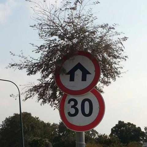 עברו את מבחן התאוריה בפעם הראשונה? - חדשות בפתח תקווה