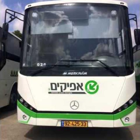 לא נראה שיש אופק לזוכה במכרז התחבורה הציבורית בפתח תקוה - חדשות בפתח תקווה