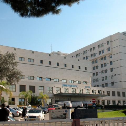 לבית חולים בילינסון הוטסה האישה שנפצעה קשה בנפילה מדלת מטוס - חדשות בפתח תקווה