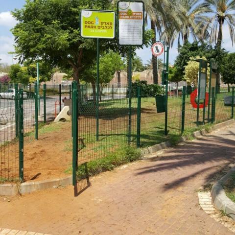 חיי כלב - איכות הסביבה וחזות העיר בפתח תקווה