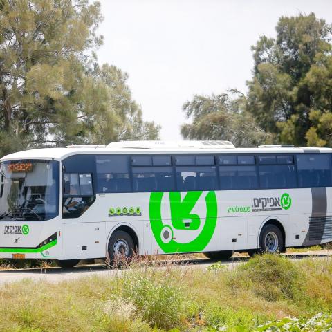 חברת אפיקים החליטה להיענות לבקשת שר התחבורה ולדחות את השביתה - תחבורה בפתח תקווה