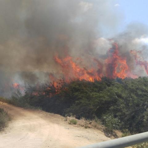 בשל תנאי מזג אויר חריגים. כיבוי אש הטילו צו איסור הדלקת מדורות בשטחים פתוחים - חדשות בפתח תקווה