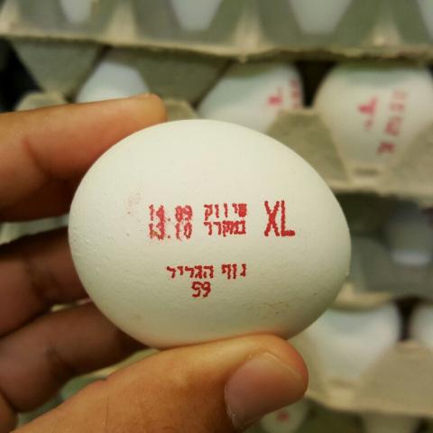 ביצים מסוכנות - צרכנות בפתח תקווה