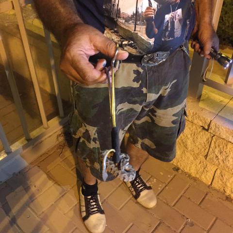 בפעם השנייה השבוע: נחש צפע נתפס הערב במתחם הגנים רבקה גובר 2. - חדשות בפתח תקווה