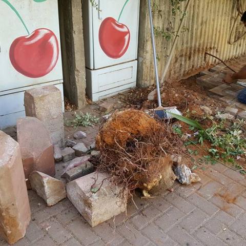 השחתת רכוש ציבורי – תופעה שיש לעקור מהשורש - חדשות בפתח תקווה