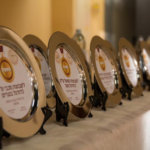 משהו צומח במגרש של הפועל פ"ת – הגירעון! - ספורט בפתח תקווה
