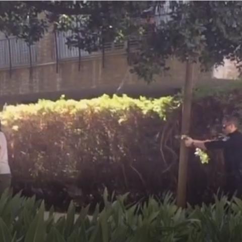 שוטר ירה באקדח טייזר בגבר ומנע את התאבדותו - חדשות בפתח תקווה