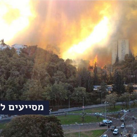 חבר מועצת העיר פתח תקוה ישראל פרידמן (יש אחד כזה) הפיץ בדיחה חסרת טעם אודות השריפה בזיכרון יעקב - חדשות בפתח תקווה