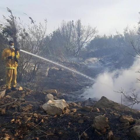 ב-110 אירועי אש שונים השתתפו לוחמי האש הפתח תקוואים בשבוע הדליקות - חדשות בפתח תקווה