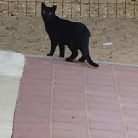 "הילדים חוזרים מהגן עם ריח לא נעים" - חינוך בפתח תקווה