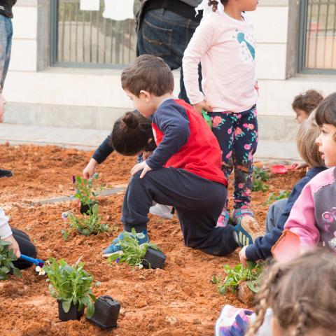 כך הולכים השותלים הפתח תקוואים וכך חוגגים את ט"ו בשבת בפתח תקווה - קהילות בפתח תקווה