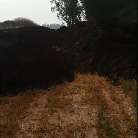 הריחות החריפים אמש - דישון בשטחים חקלאיים - איכות הסביבה וחזות העיר בפתח תקווה