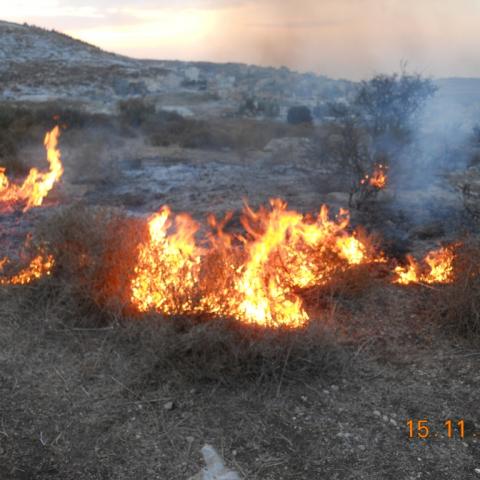כיבוי אש הוציאו צו האוסר על הדלקת מדורות שלא במקומות שהוכשרו לכך מראש - חדשות בפתח תקווה