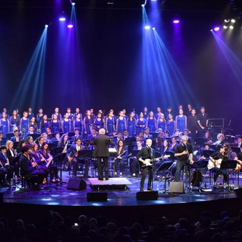 דמעות של ילדה: הרחיקו אותה מהופעות ומהקונסבטוריון - חדשות בפתח תקווה