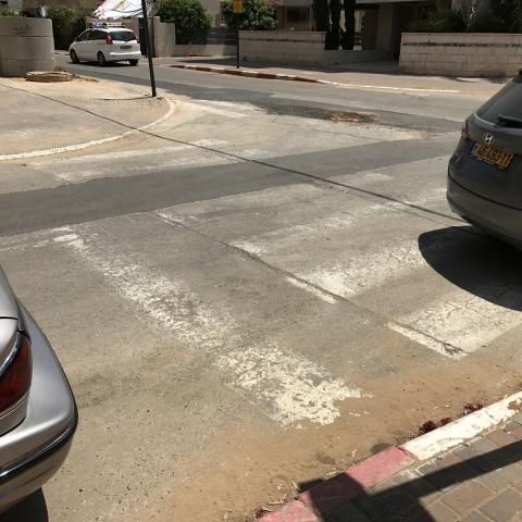  הנוער של עמותת "אור ירוק":  מפגעי דרך התגלו סביב מוסדות החינוך בפתח תקווה - תחבורה בפתח תקווה