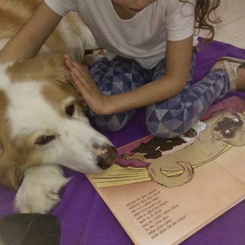 להקריא לחבר הנאמן ביותר וכך ללמוד קריאה - חינוך בפתח תקווה