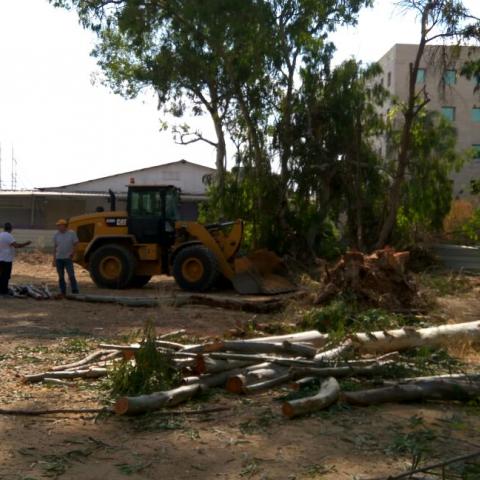 פרימדור: יושבים מסביב למועצה ויושבים מסביב לשולחן השבועות - חדשות בפתח תקווה
