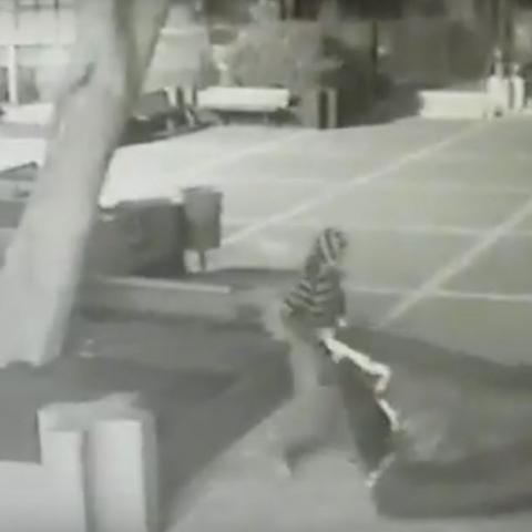 פרימדור: האירועים המרכזיים בפתח תקווה לשבוע שבין 11 ל-16 ביוני - חדשות בפתח תקווה