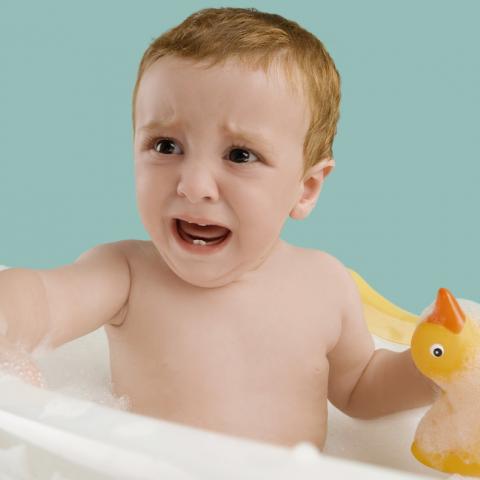  ילד שאף צפצפה של ברווז צעצוע - חדשות בפתח תקווה