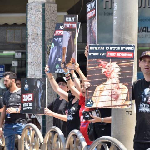 ביום שישי במרכז פ"ת: "מחאת החיות המעונות" - בעלי חיים בפתח תקווה