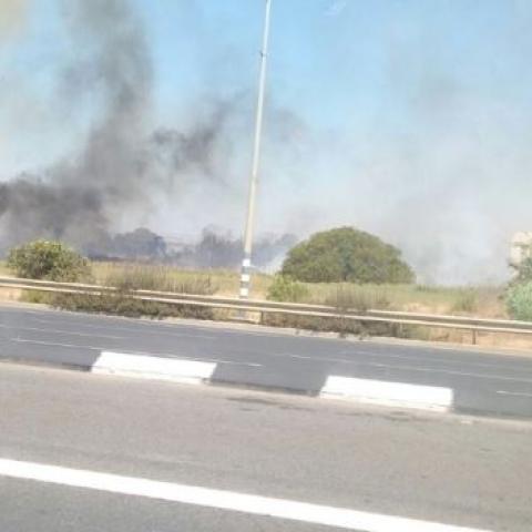תושבי כפר הבפטיסטים פונו מבתיהם בשל שריפת קוצים גדולה - חדשות בפתח תקווה