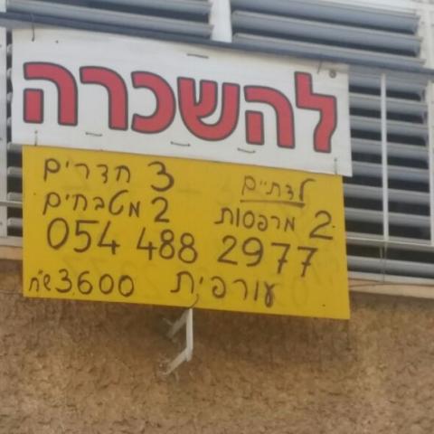  מאבק נגד התחרדות העיר יוצא לדרך: "ראש העיר משנה את הסטטוס קוו באורח חד- צדדי וקיצוני" - חדשות בפתח תקווה