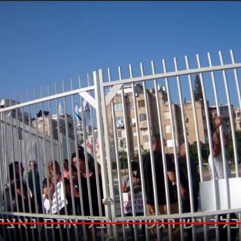 "לכלב יש רגשות, אבל אתם נאצים!" - צפו בסרטון - חדשות בפתח תקווה