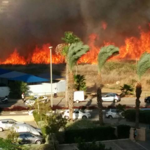 הושגה שליטה על השריפה שהשתוללה סמוך לאם המושבות (סרטונים) - חדשות בפתח תקווה