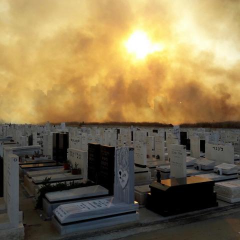 אתנחתא: הטבע הוא הבמאי הטוב ביותר בעולם - חדשות בפתח תקווה