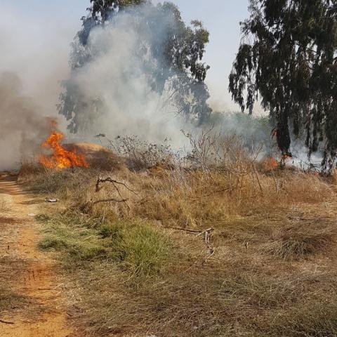 נבדק חשד להצתה: שוב שריפה באותו מקום שבו פרצה אתמול שריפת הענק - חדשות בפתח תקווה