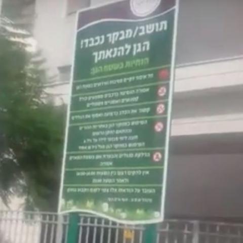  רותמים את העגלה לפני הסוסים ואת המתקנים לפני הגינה - חדשות בפתח תקווה