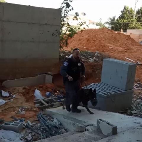 במבצע משטרתי לא רחוק מפתח תקווה: נמצאו נשק לא חוקי, סמים ושוהים בלתי חוקיים - צפו בסרטון המשטרה - חדשות בפתח תקווה