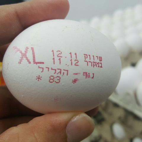 מעניין לכם הביצים - צרכנות בפתח תקווה