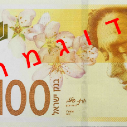 שיהיו לנו הרבה אדומים וכתומים - צרכנות בפתח תקווה