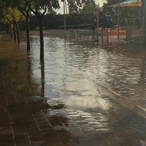 הכירו את אגם יבנה - רחוב יבנה מוצף והתלמידים התקשו להגיע לבית ספר - חדשות בפתח תקווה