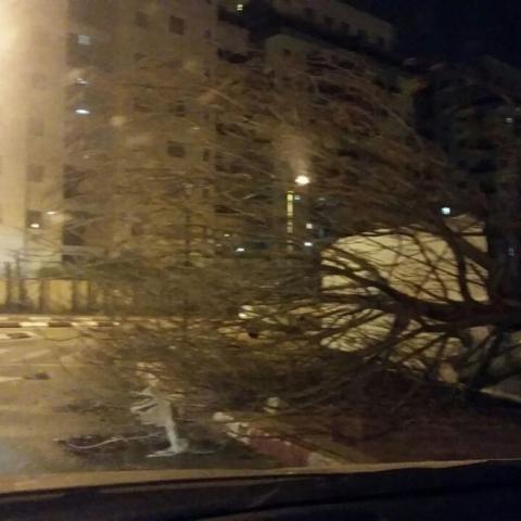  עיריית פ"ת וכוחות ההצלה נערכים למזג אוויר סוער בסופ"ש - חדשות בפתח תקווה