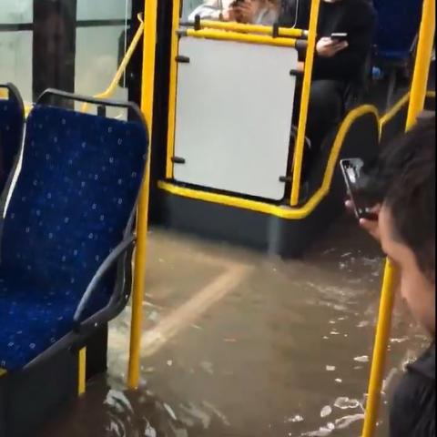 בריכת השחייה כלולה במחיר הכרטיס - צפו בסרטון - חדשות בפתח תקווה