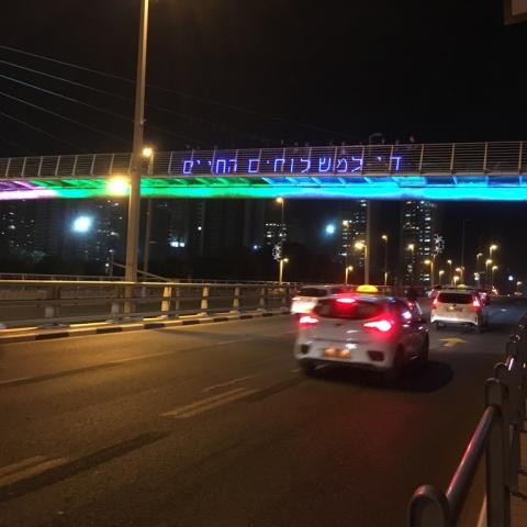 פעילים למען בעלי חיים במיצג אור ענק על גשר בילינסון - בעלי חיים בפתח תקווה