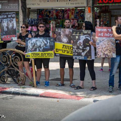עשרות פעילי בעלי חיים  הפגינו במרכז העיר (וידיאו) - בעלי חיים בפתח תקווה
