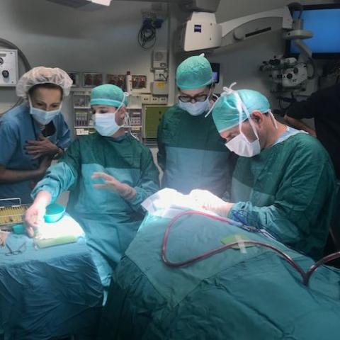 עיוורת חזרה לראות בזכות השתלת שן בעיניה - בריאות בפתח תקווה