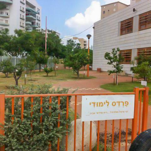יוקם מסלול אנתרופוסופי בבית ספר נעמי שמר - חינוך בפתח תקווה